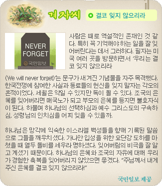 겨자씨 더보기