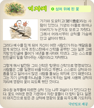 겨자씨 더보기