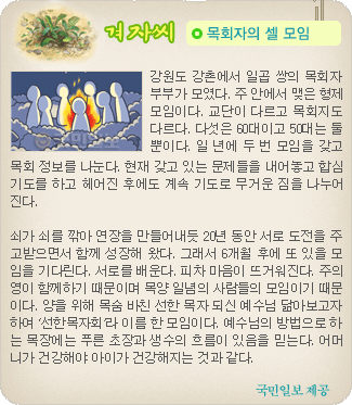 겨자씨 더보기