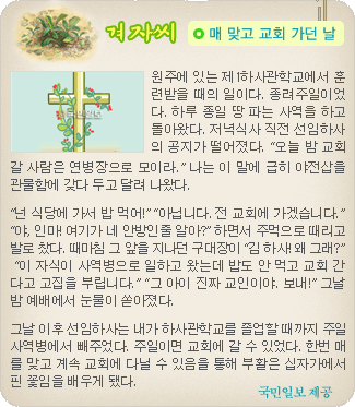 겨자씨 더보기