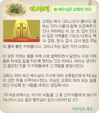 겨자씨 더보기