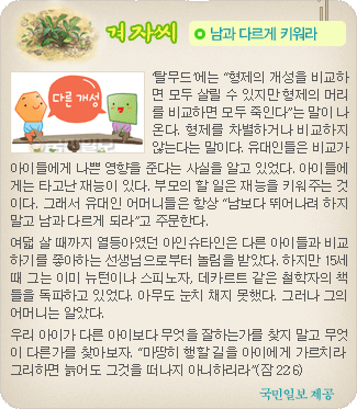 겨자씨 더보기