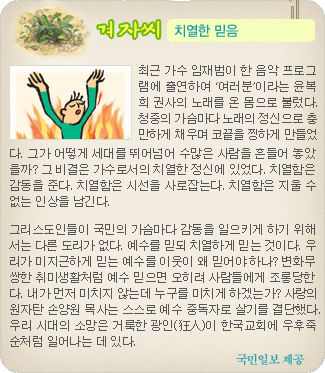 겨자씨 더보기