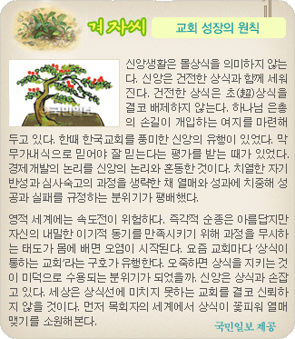 겨자씨 더보기