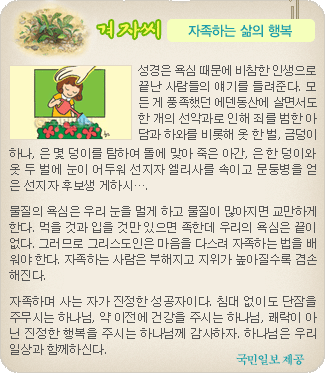 겨자씨 더보기