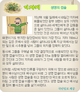 겨자씨 더보기
