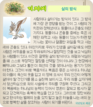 겨자씨 더보기