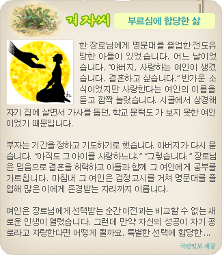 ���ھ� ������